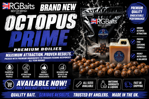 <h1>OCTOPUS PRIME</h1>
