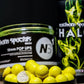 CC MOORE NS1 HALO + Hookbait Bundle. NEW Halo Liquid + NS1 Popups