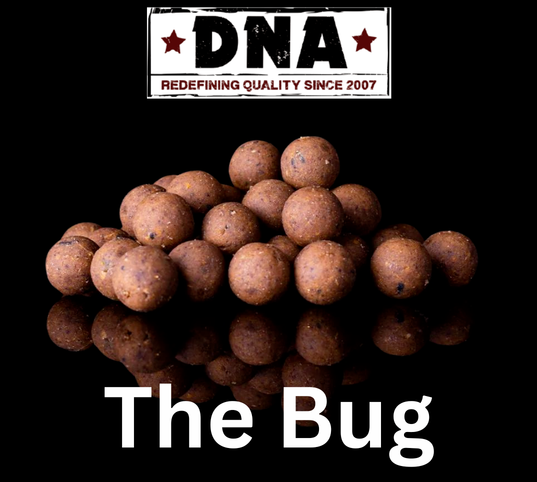 DNA Baits The Bug Boilies All Sizes