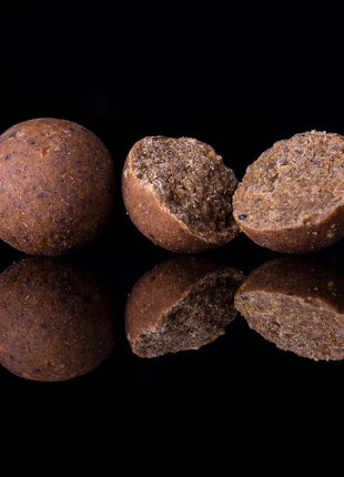 DNA Baits Bug Range **ALL SIZES** The Ultimate Insect Meal Boilie