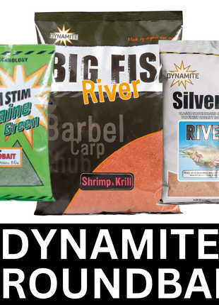 Dynamite Baits Groundbaits - FULL RANGE - Robin Red Halibut Krill Big Fish SilverX