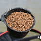 Dynamite Baits Marine Halibut Pellets Groundbait - FULL RANGE