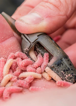 Gallon Live Maggots Bulk Fishing Bait Fresh