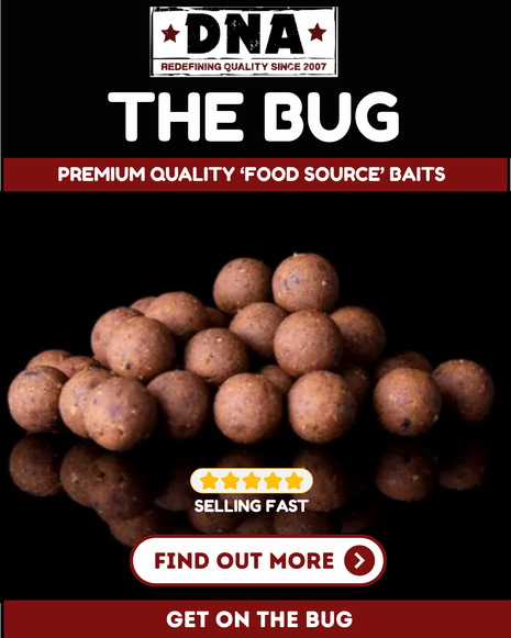 DNA Baits Bug Range **ALL SIZES** The Ultimate Insect Meal Boilie