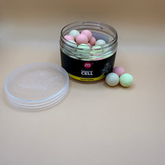 Collection image for: WAFTERS