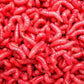 Live Maggots Fishing Bait Fresh Reptile Feed - Red, White, Pinkies & Mixed