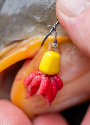 Atomic Bait Spikes/Spikez 6 Pack by Billing Tackle