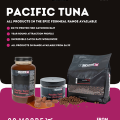 Collection image for: pacific tuna