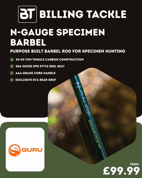N-Gauge Specimen Barbel Specialist 12' 2.25lb | In Stock £99.99