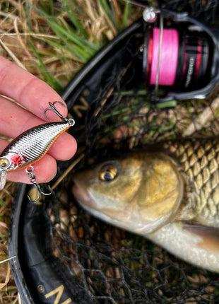 Westin Buzzbite (5cm/6g - Suspending) by Billing Tackle