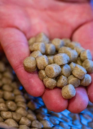 Mainline Match Expander Pellets Easy to Prepare