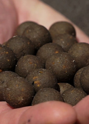 Elevate Baits Garlic Infusion Boilies 5kg by Billing Tackle
