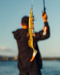 3D Hybrid Pike 17cm 47g