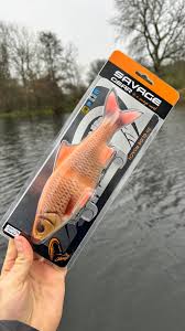 3D Glide Roach 23cm 170g Slow Sinking by Billing Tackle