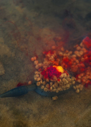 Sonubaits Lava Rocks by Billing Tackle