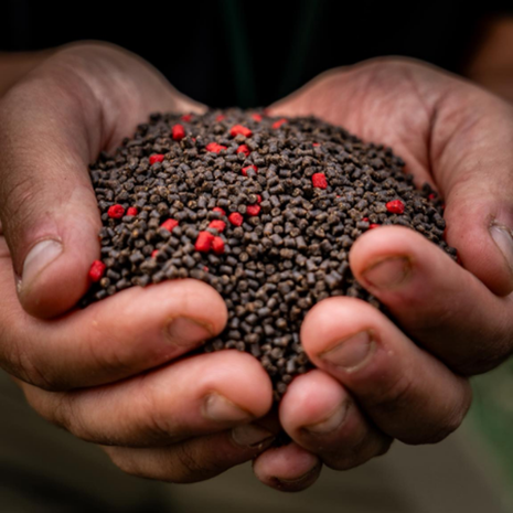 RG Baits Hot Shrimp & Liver Pellets (5kg)