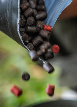 RG Baits Hot Shrimp & Liver Pellets (1kg) by Billing Tackle