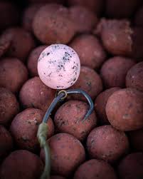 RG Baits Red Sea Squid Pop Ups