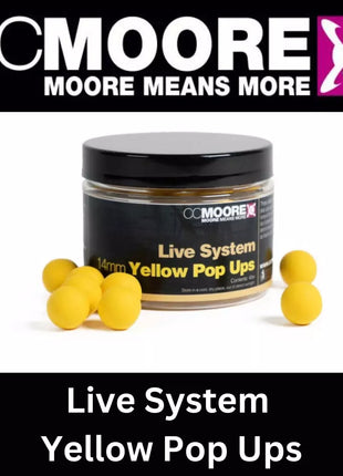 Live System CC Moore Bundle - Choose ANY 3 ITEMS: Perfect Session Bundle