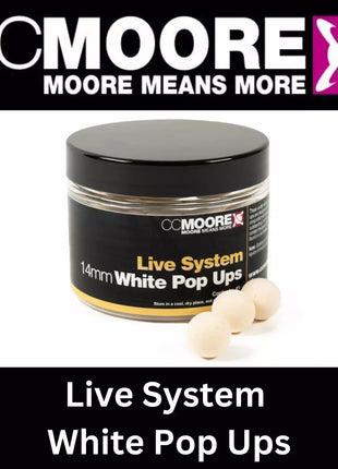 Live System CC Moore Bundle - Choose ANY 3 ITEMS: Perfect Session Bundle