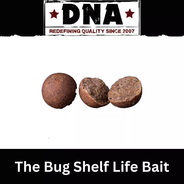 DNA BAITS The Bug Boilies  Shelf Life Bait