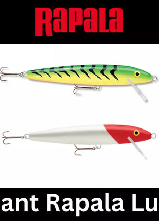 RAPALA - Giant Rapala Lure - Multiple Colours