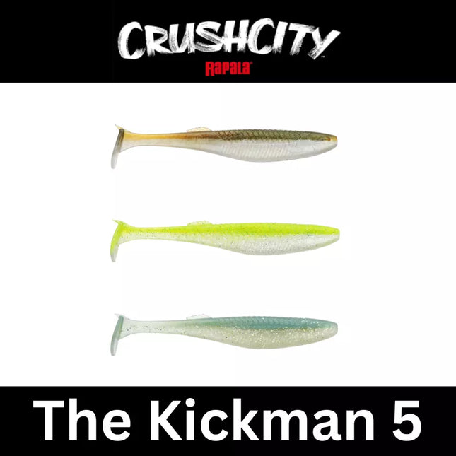 CRUSHCITY The Kickman 5-Inch Soft Bait | Arkansas Shiner, Chart White Flash, Sex