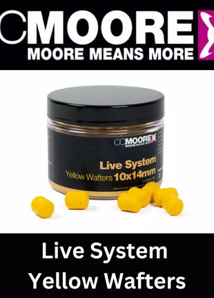 Live System CC Moore Bundle - Choose ANY 3 ITEMS: Perfect Session Bundle